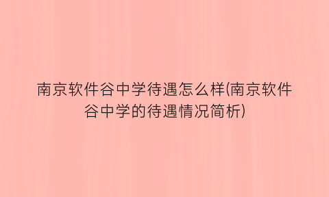 南京软件谷中学待遇怎么样(南京软件谷中学的待遇情况简析)