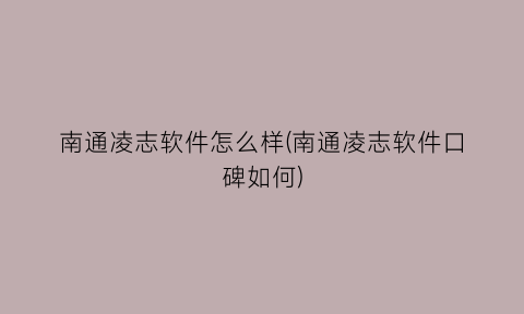 南通凌志软件怎么样(南通凌志软件口碑如何)