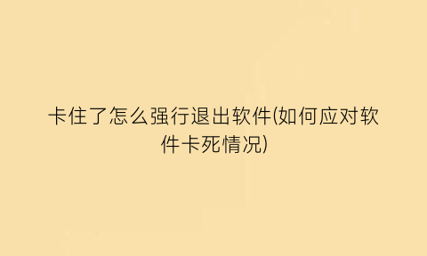 卡住了怎么强行退出软件(如何应对软件卡死情况)