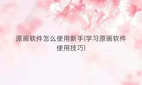 原画软件怎么使用新手(学习原画软件使用技巧)