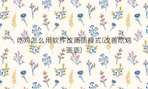 “吃鸡怎么用软件改画质模式(改善吃鸡画质)