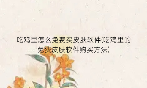 吃鸡里怎么免费买皮肤软件(吃鸡里的免费皮肤软件购买方法)