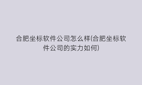 “合肥坐标软件公司怎么样(合肥坐标软件公司的实力如何)