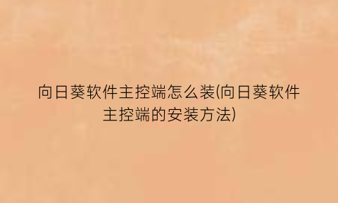 “向日葵软件主控端怎么装(向日葵软件主控端的安装方法)