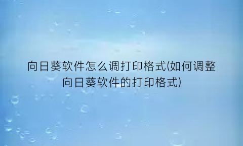 “向日葵软件怎么调打印格式(如何调整向日葵软件的打印格式)