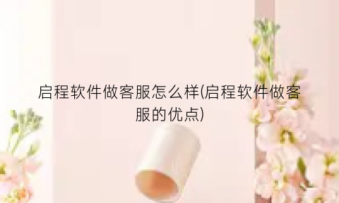 启程软件做客服怎么样(启程软件做客服的优点)