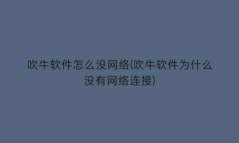 吹牛软件怎么没网络(吹牛软件为什么没有网络连接)