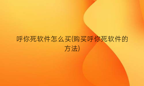 呼你死软件怎么买(购买呼你死软件的方法)