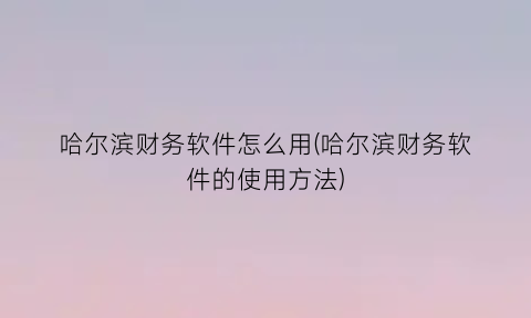 哈尔滨财务软件怎么用(哈尔滨财务软件的使用方法)