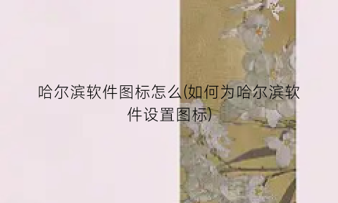 “哈尔滨软件图标怎么(如何为哈尔滨软件设置图标)