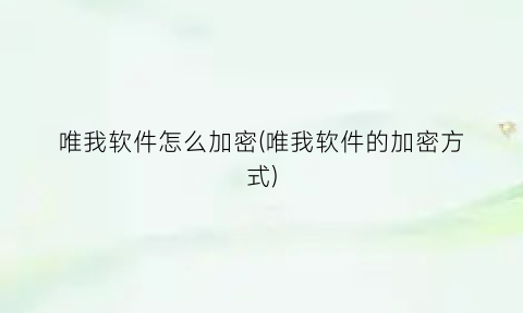 唯我软件怎么加密(唯我软件的加密方式)