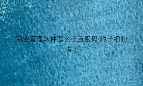 “商业管理软件怎么设置密码(附详细介绍)