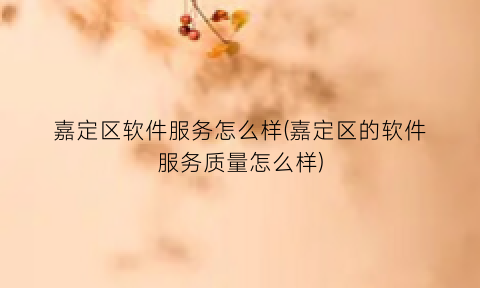 嘉定区软件服务怎么样(嘉定区的软件服务质量怎么样)