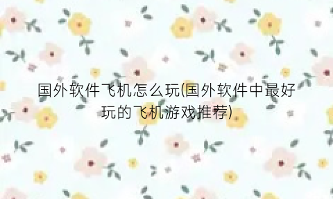 “国外软件飞机怎么玩(国外软件中最好玩的飞机游戏推荐)