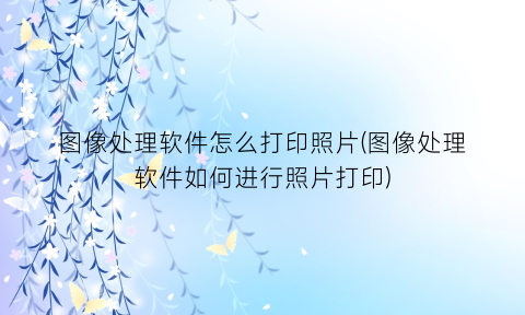 图像处理软件怎么打印照片(图像处理软件如何进行照片打印)