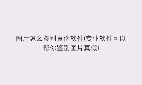 图片怎么鉴别真伪软件(专业软件可以帮你鉴别图片真假)