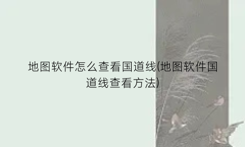 “地图软件怎么查看国道线(地图软件国道线查看方法)