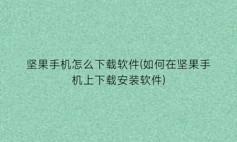“坚果手机怎么下载软件(如何在坚果手机上下载安装软件)
