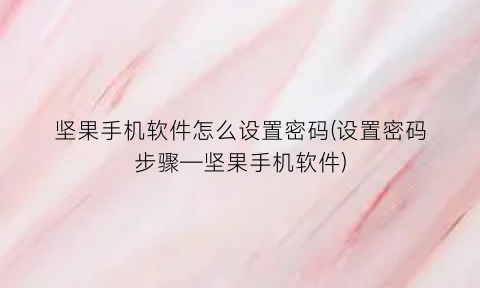 坚果手机软件怎么设置密码(设置密码步骤—坚果手机软件)