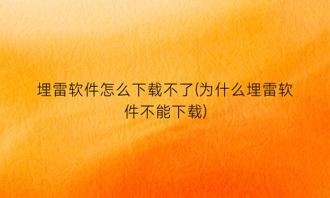 “埋雷软件怎么下载不了(为什么埋雷软件不能下载)