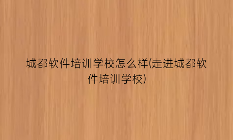 城都软件培训学校怎么样(走进城都软件培训学校)
