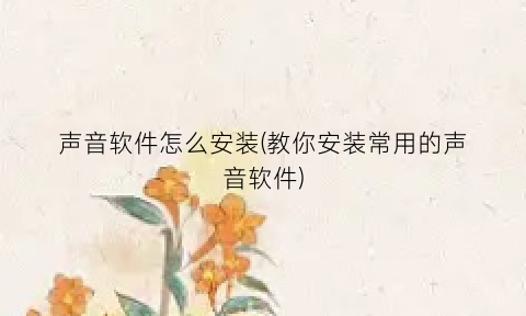 “声音软件怎么安装(教你安装常用的声音软件)