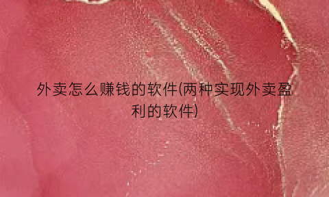 外卖怎么赚钱的软件(两种实现外卖盈利的软件)