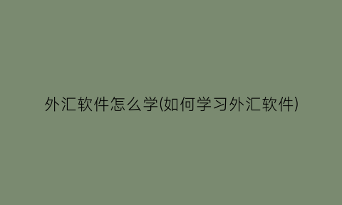 “外汇软件怎么学(如何学习外汇软件)