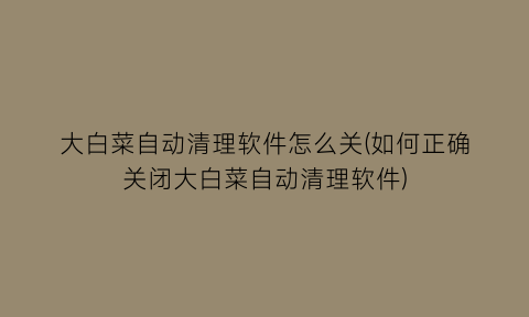 “大白菜自动清理软件怎么关(如何正确关闭大白菜自动清理软件)
