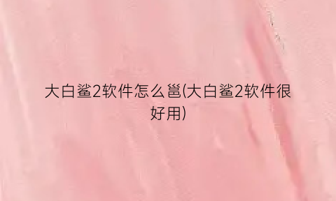 “大白鲨2软件怎么邕(大白鲨2软件很好用)