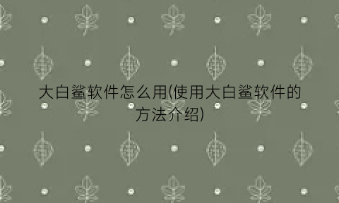 “大白鲨软件怎么用(使用大白鲨软件的方法介绍)