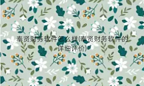 “奉贤财务软件怎么样(奉贤财务软件的详细评价)