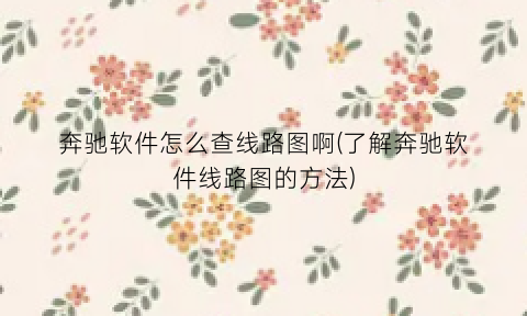 “奔驰软件怎么查线路图啊(了解奔驰软件线路图的方法)