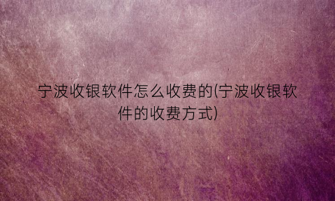 宁波收银软件怎么收费的(宁波收银软件的收费方式)