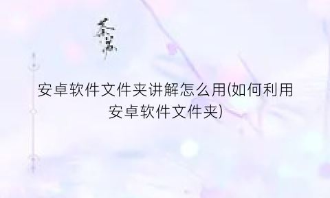 “安卓软件文件夹讲解怎么用(如何利用安卓软件文件夹)