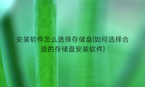 安装软件怎么选择存储盘(如何选择合适的存储盘安装软件)