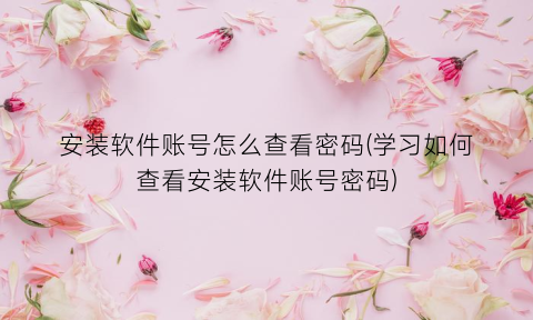 “安装软件账号怎么查看密码(学习如何查看安装软件账号密码)