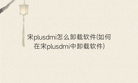 宋plusdmi怎么卸载软件(如何在宋plusdmi中卸载软件)