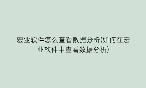 宏业软件怎么查看数据分析(如何在宏业软件中查看数据分析)