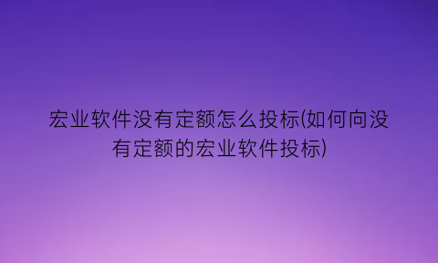 “宏业软件没有定额怎么投标(如何向没有定额的宏业软件投标)