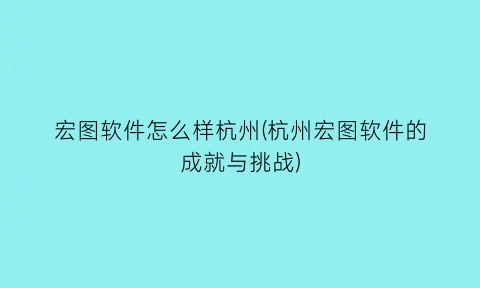 “宏图软件怎么样杭州(杭州宏图软件的成就与挑战)