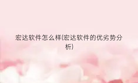“宏达软件怎么样(宏达软件的优劣势分析)