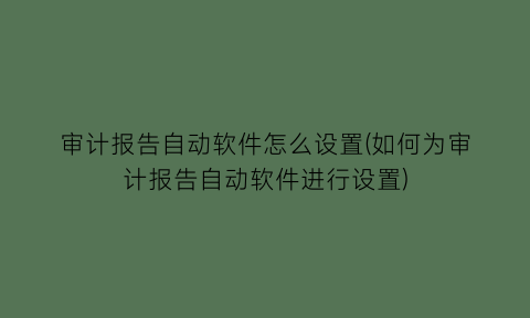 审计报告自动软件怎么设置(如何为审计报告自动软件进行设置)