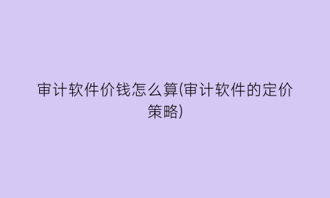 审计软件价钱怎么算(审计软件的定价策略)