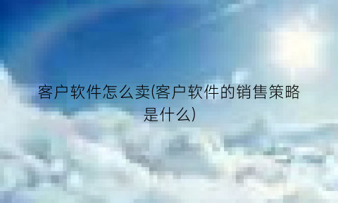 客户软件怎么卖(客户软件的销售策略是什么)