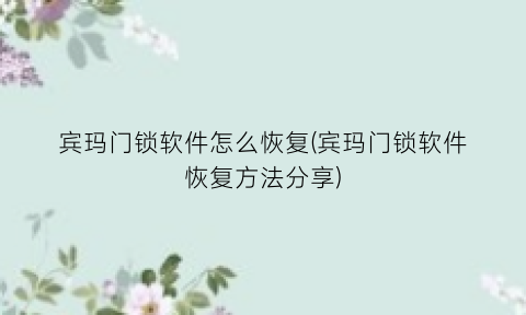 “宾玛门锁软件怎么恢复(宾玛门锁软件恢复方法分享)