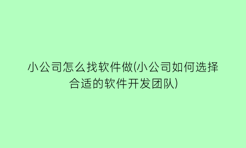 小公司怎么找软件做(小公司如何选择合适的软件开发团队)