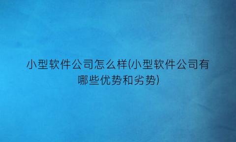 小型软件公司怎么样(小型软件公司有哪些优势和劣势)