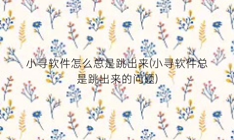 小寻软件怎么总是跳出来(小寻软件总是跳出来的问题)