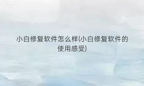 小白修复软件怎么样(小白修复软件的使用感受)